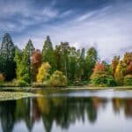 In the autumn/winter months Bedgebury Pinetum comes to life