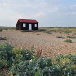 The local walks and terrains at Rye Harbour Nature Reserve will take you across different eco habitats