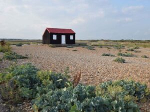 The local walks and terrains at Rye Harbour Nature Reserve will take you across different eco habitats